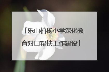 乐山柏杨小学深化教育对口帮扶工作建设