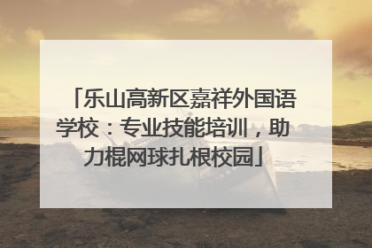 乐山高新区嘉祥外国语学校：专业技能培训，助力棍网球扎根校园