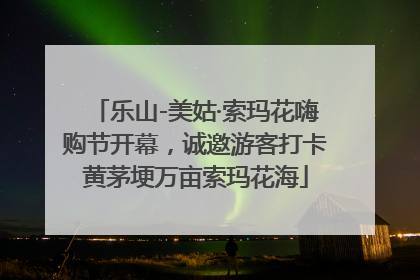 乐山-美姑·索玛花嗨购节开幕，诚邀游客打卡黄茅埂万亩索玛花海