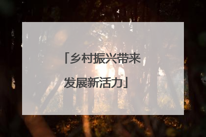 乡村振兴带来发展新活力