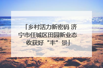 乡村活力新密码 济宁市任城区田园新业态收获好“丰”景
