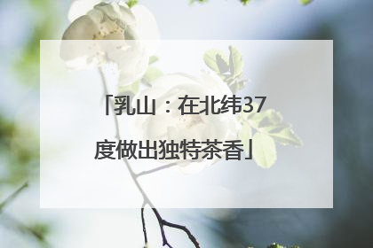 乳山：在北纬37度做出独特茶香
