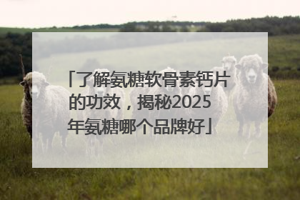 了解氨糖软骨素钙片的功效，揭秘2025年氨糖哪个品牌好