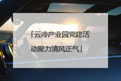 云冷产业园党建活动聚力清风正气
