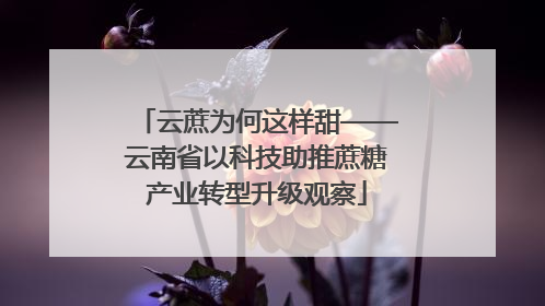 云蔗为何这样甜——云南省以科技助推蔗糖产业转型升级观察