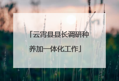 云霄县县长调研种养加一体化工作