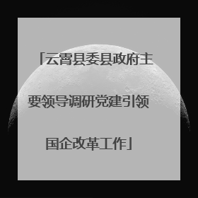 云霄县委县政府主要领导调研党建引领国企改革工作