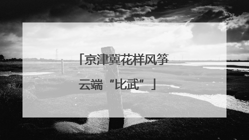 京津冀花样风筝云端“比武”