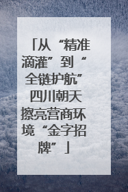 从“精准滴灌”到“全链护航” 四川朝天擦亮营商环境“金字招牌”
