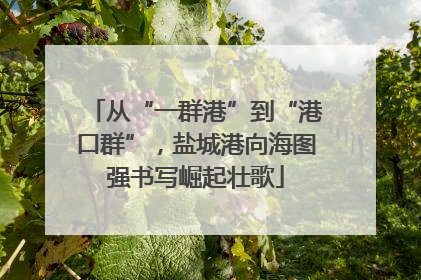 从“一群港”到“港口群”，盐城港向海图强书写崛起壮歌