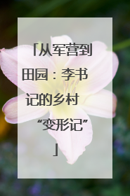 从军营到田园：李书记的乡村 “变形记”