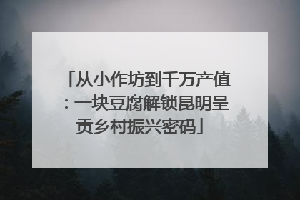从小作坊到千万产值：一块豆腐解锁昆明呈贡乡村振兴密码