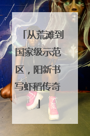 从荒滩到国家级示范区，阳新书写虾稻传奇