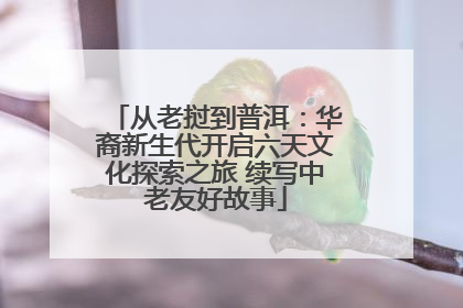 从老挝到普洱：华裔新生代开启六天文化探索之旅 续写中老友好故事