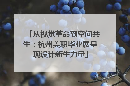 从视觉革命到空间共生：杭州美职毕业展呈现设计新生力量
