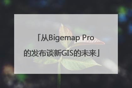 从Bigemap Pro的发布谈新GIS的未来