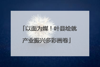 以面为媒！叶县绘就产业振兴多彩画卷