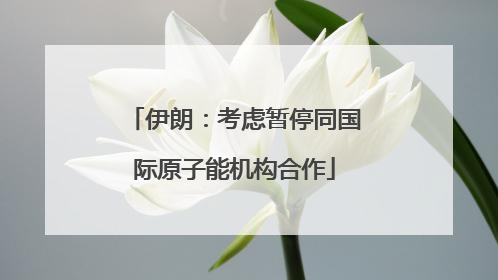 伊朗：考虑暂停同国际原子能机构合作