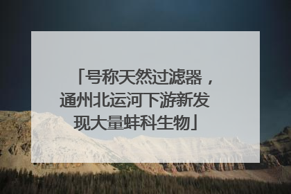 号称天然过滤器，通州北运河下游新发现大量蚌科生物
