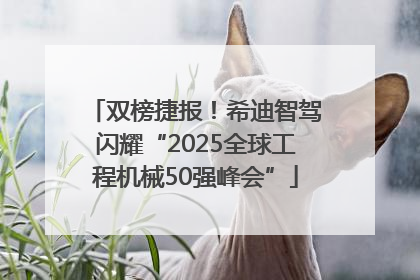 双榜捷报！希迪智驾闪耀“2025全球工程机械50强峰会”