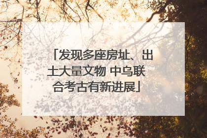 发现多座房址、出土大量文物 中乌联合考古有新进展