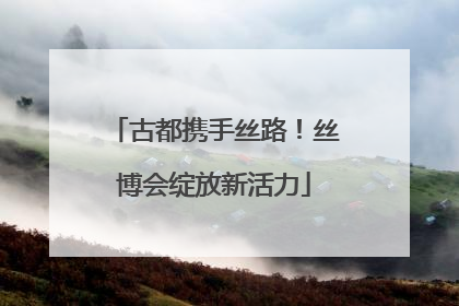 古都携手丝路！丝博会绽放新活力