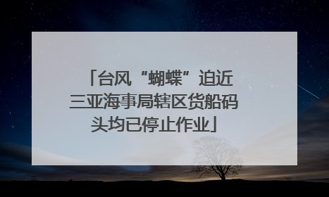 台风“蝴蝶”迫近 三亚海事局辖区货船码头均已停止作业