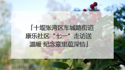 十堰张湾区车城路街道康乐社区“七一”走访送温暖 纪念章里蕴深情