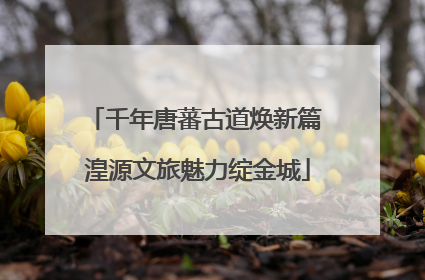 千年唐蕃古道焕新篇 湟源文旅魅力绽金城