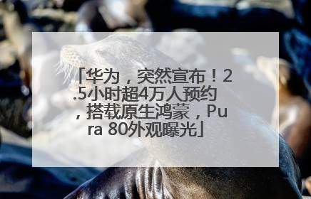 华为，突然宣布！2.5小时超4万人预约，搭载原生鸿蒙，Pura 80外观曝光