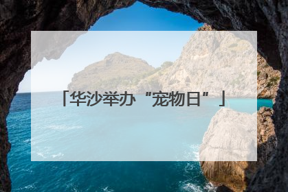 华沙举办“宠物日”