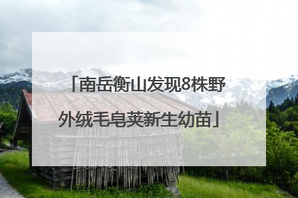 南岳衡山发现8株野外绒毛皂荚新生幼苗