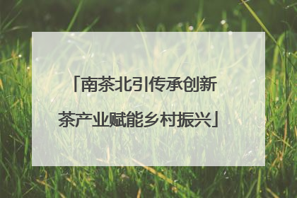 南茶北引传承创新 茶产业赋能乡村振兴