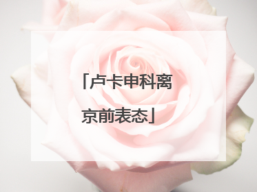 卢卡申科离京前表态