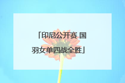 印尼公开赛 国羽女单四战全胜