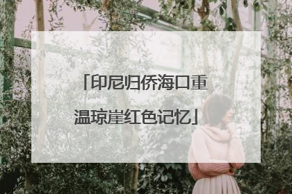 印尼归侨海口重温琼崖红色记忆