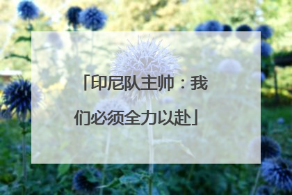 印尼队主帅：我们必须全力以赴