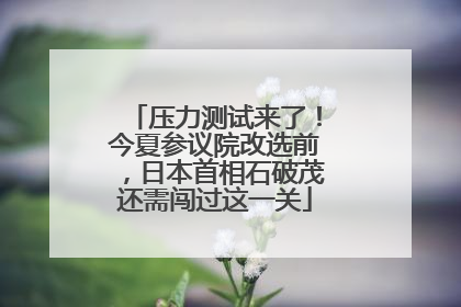 压力测试来了！今夏参议院改选前，日本首相石破茂还需闯过这一关