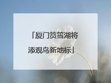 厦门筼筜湖将添观鸟新地标