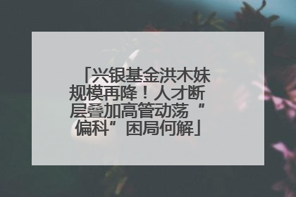 兴银基金洪木妹规模再降！人才断层叠加高管动荡“偏科”困局何解