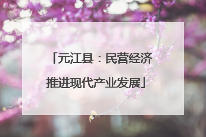 元江县：民营经济推进现代产业发展