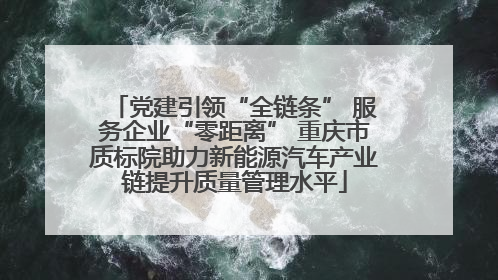 党建引领“全链条” 服务企业“零距离” 重庆市质标院助力新能源汽车产业链提升质量管理水平