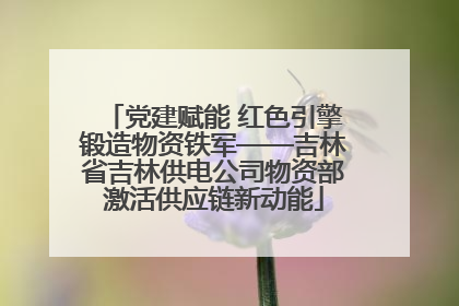 党建赋能 红色引擎锻造物资铁军——吉林省吉林供电公司物资部激活供应链新动能
