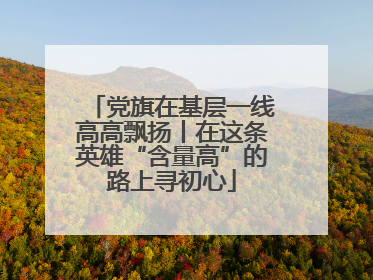 党旗在基层一线高高飘扬丨在这条英雄“含量高”的路上寻初心