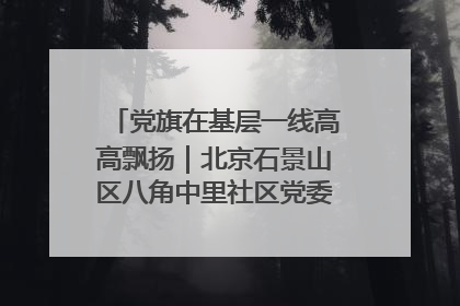党旗在基层一线高高飘扬｜北京石景山区八角中里社区党委：用脚步丈量民生
