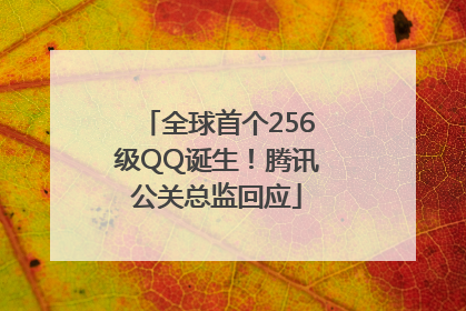 全球首个256级QQ诞生！腾讯公关总监回应