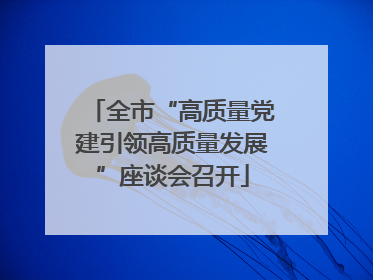 全市“高质量党建引领高质量发展”座谈会召开