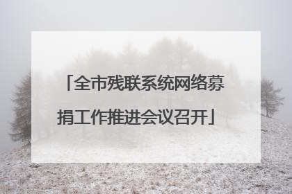 全市残联系统网络募捐工作推进会议召开