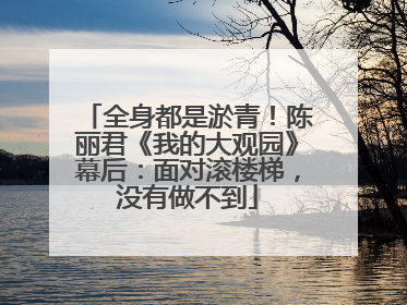 全身都是淤青！陈丽君《我的大观园》幕后：面对滚楼梯，没有做不到