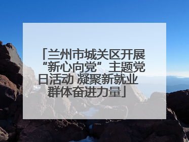 兰州市城关区开展“新心向党”主题党日活动 凝聚新就业群体奋进力量